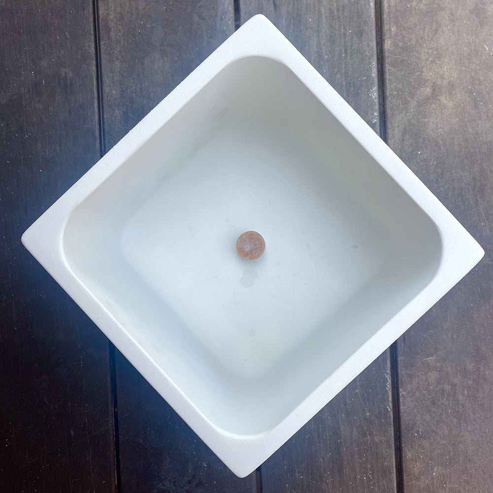 Concrete Square Planter: White