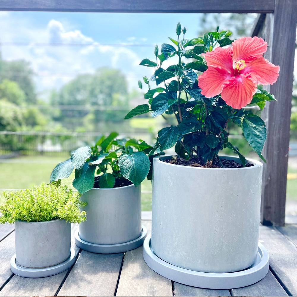 Concrete Round Planter: White